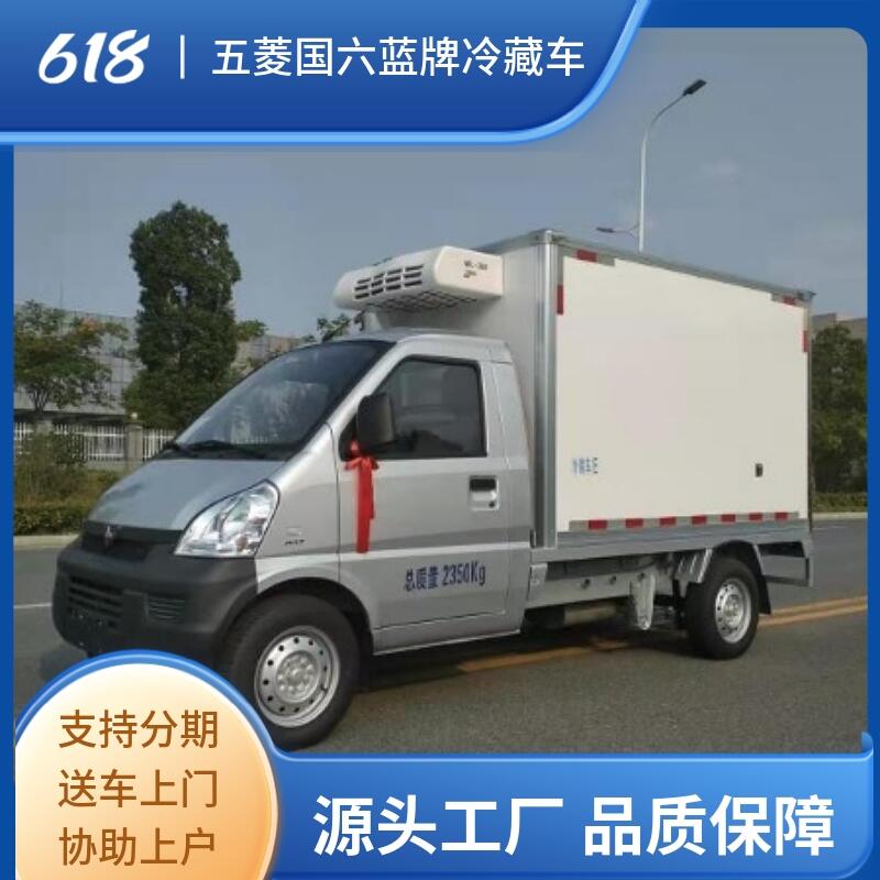 邯郸市小型汽油版冷藏车